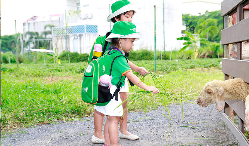 Hoạt động ngoại khóa Clover Montessori
