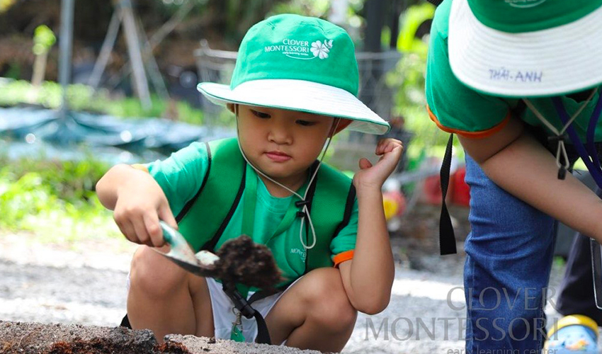 Hoạt động ngoại khóa Clover Montessori