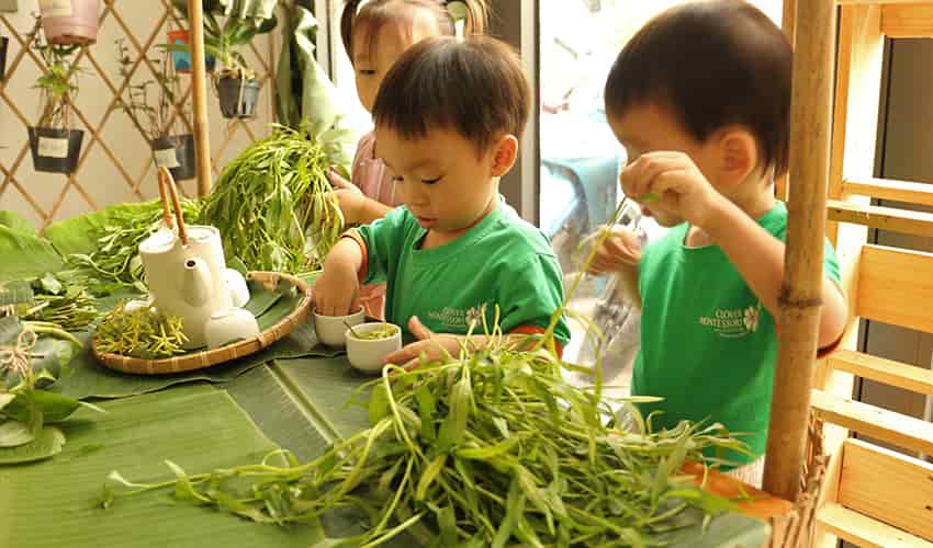 Phương pháp giáo dục STEAM