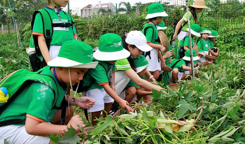 Phương pháp giáo dục STEAM