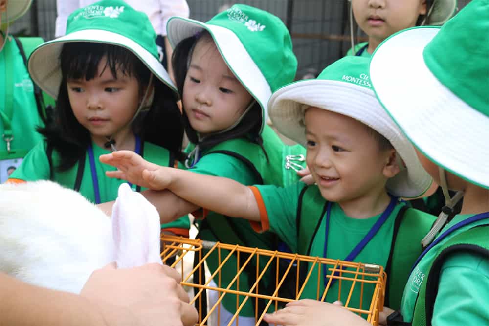 Chương trình học dành cho bé từ 15 tháng đến 3 tuổi