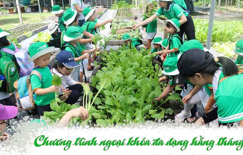 Chương trình học dành cho bé từ 3-6 tuổi