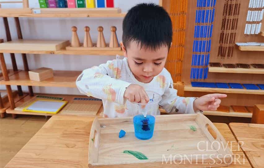 Chương trình học dành cho bé từ 3-6 tuổi