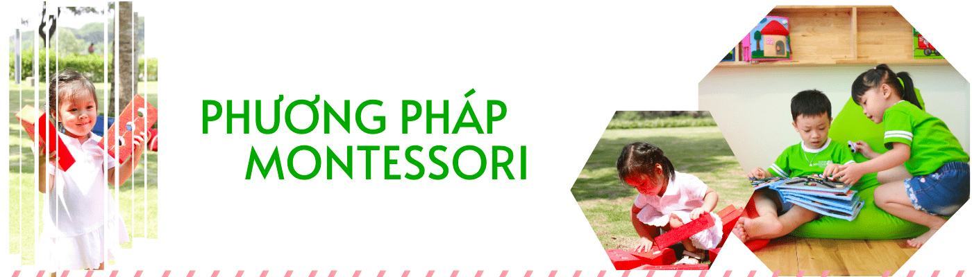 Montessori đặc biệt quan tâm đến việc thúc đẩy tiềm năng bên trong trẻ như thế nào?
