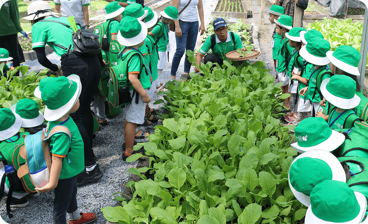 Hoạt động ngoại khóa Clover Montessori