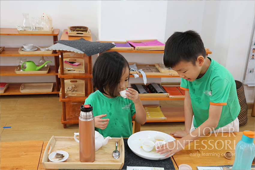 Tại sao lựa chọn Trường mầm non Clover Montessori