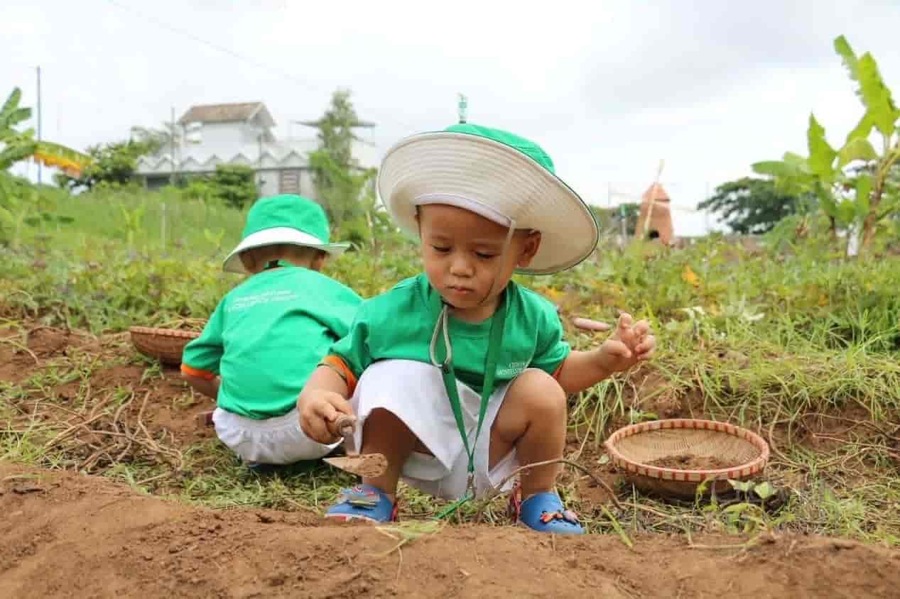hoat dong montessori